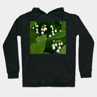 Lillies of the valley in bloom Hoodie